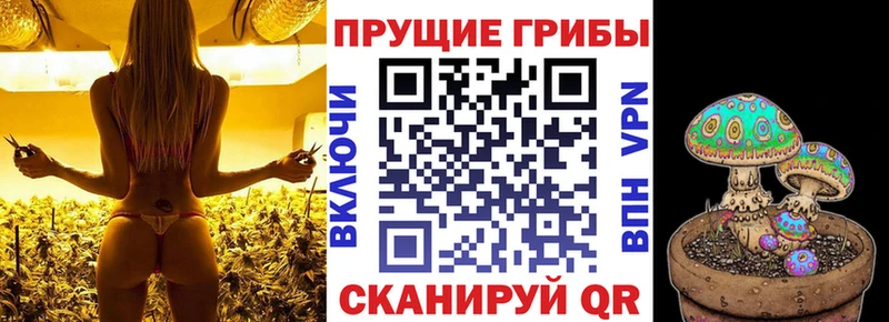цена наркотик  Алупка  Псилоцибиновые грибы Psilocybe 